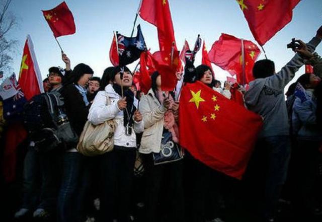 破碎的动物图形2