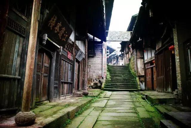 建言献策丨李聪:建议统一健康信息,用数据跑路提升群众就医幸福感