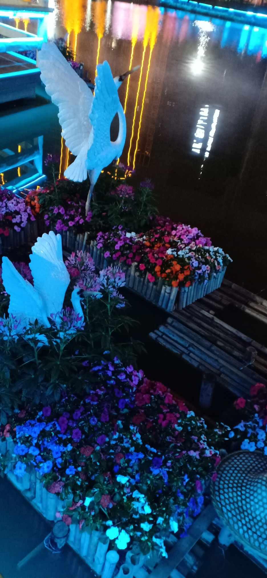 今年首场寒潮来袭 多地降温明显
